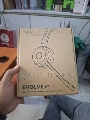 Jabra Evolve 65 TE (Third Edition) Wireless Dual-Ear Headphones
