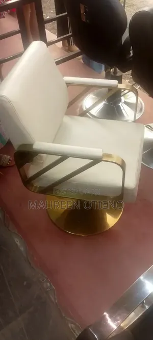 White and Gold Salon Styling Chair