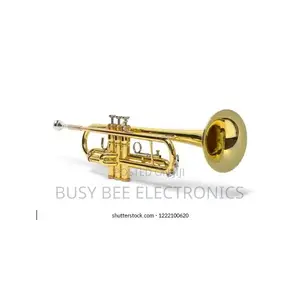 Premier Professional Trumpet Silver Gold
