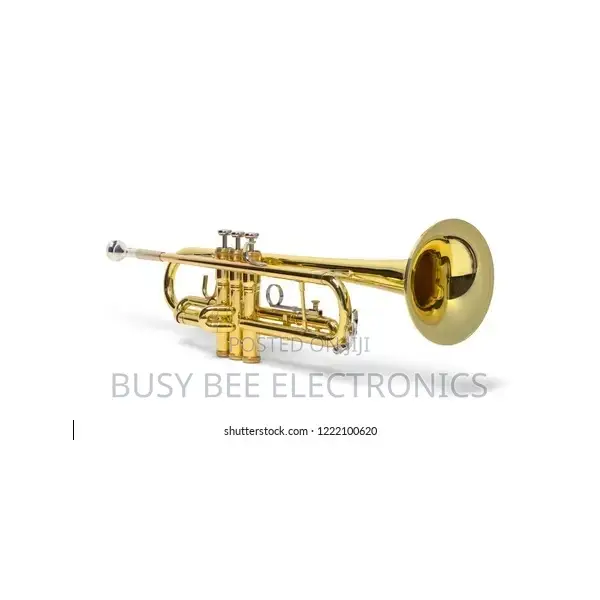Premier Professional Trumpet Silver Gold