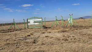 Plots on Sale