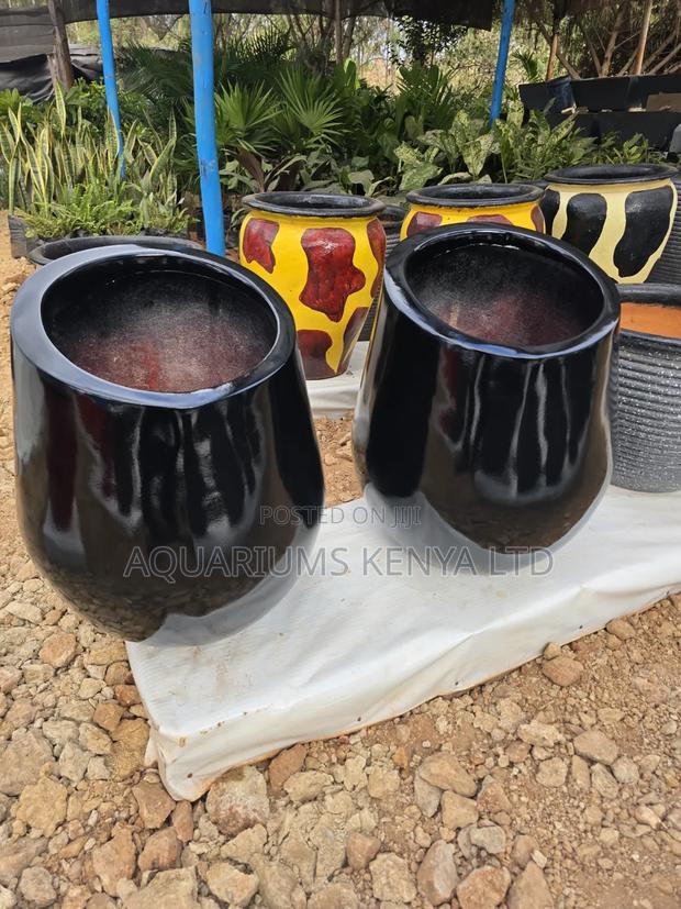 Snakeplants Flowerpots - main view