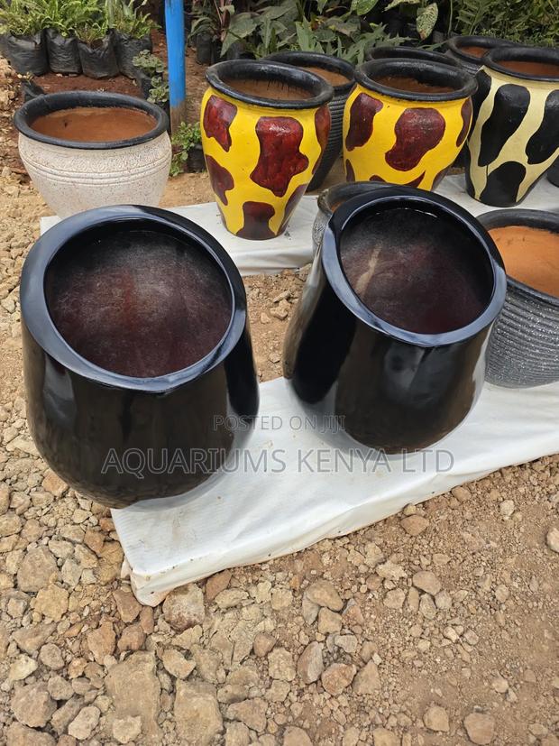 Snakeplants Flowerpots - thumbnail 2