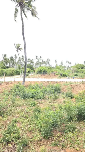 Prime 50x100ft Plots for Sale in Kilifi Chumani