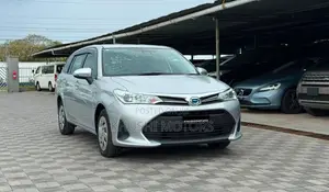 Toyota Corolla Fielder 2020 Silver