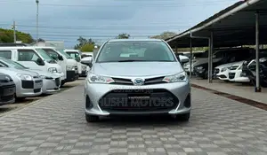 Toyota Corolla Fielder 2020 Silver