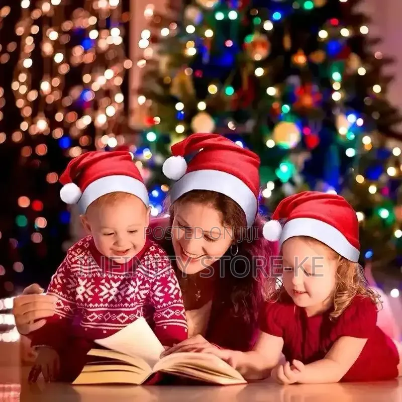 Plain Christmas Hats