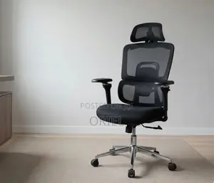Office Chair : Orthopedic High-Back Desk Chair