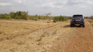 Plot,10 Plots of 50x100
