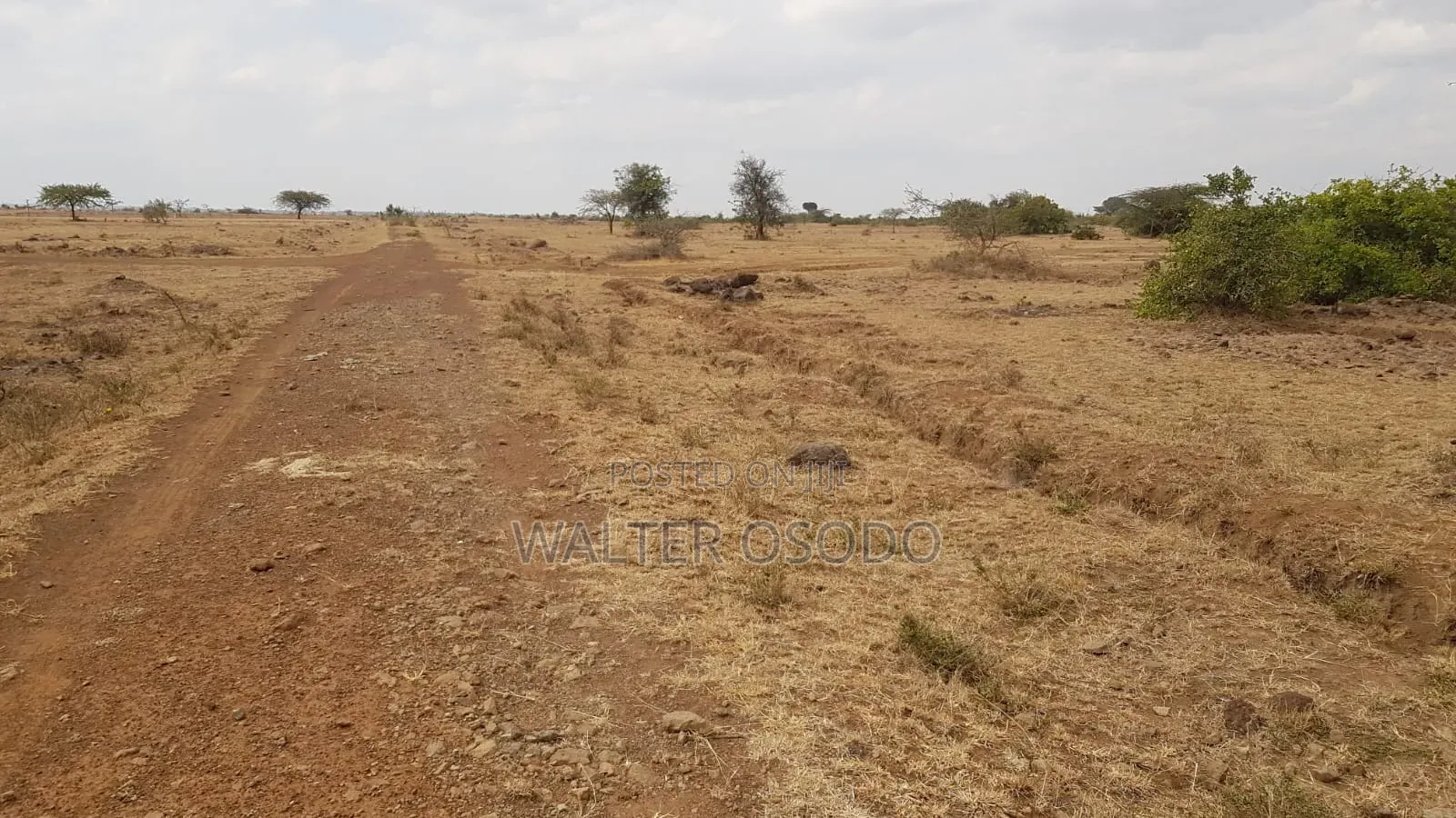 Plot,10 Plots of 50x100