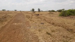 Plot,10 Plots of 50x100