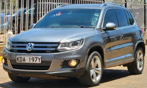 Volkswagen Tiguan 2015 Gray