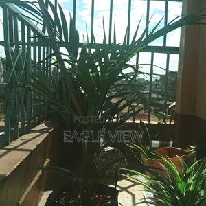 Plant lovers.ke