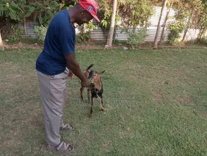 Kamagambo Kabuoro
