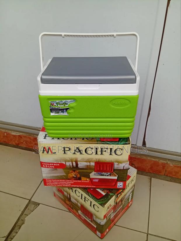 Handy 4.5L Mini Cooler Box for Outdoor Activities