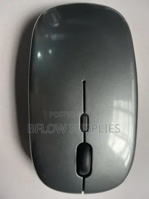 Gray Dual Wireless Mouse