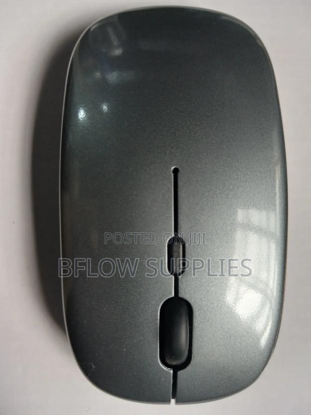 Gray Dual Wireless Mouse