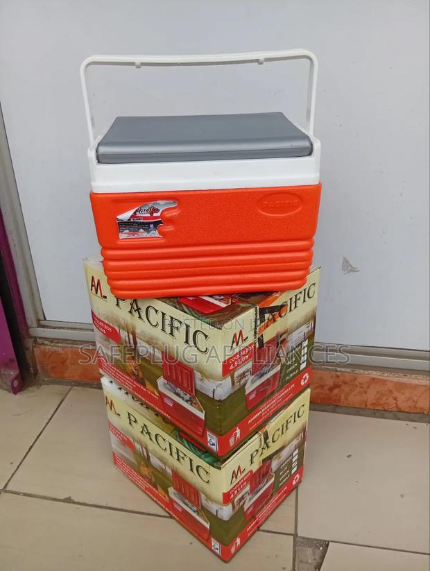 4.5L Portable Cooler Box for Picnics and Travel