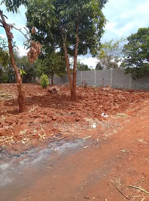 Quarter Acre for Sale Muguga (Kwawaya)thika