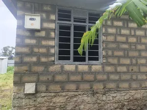 Construction Services