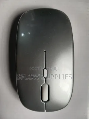 Silver Wireless Mouse