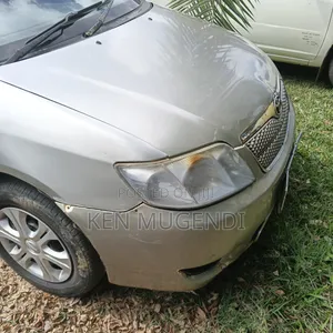 Toyota Corolla Fielder 2006 Beige