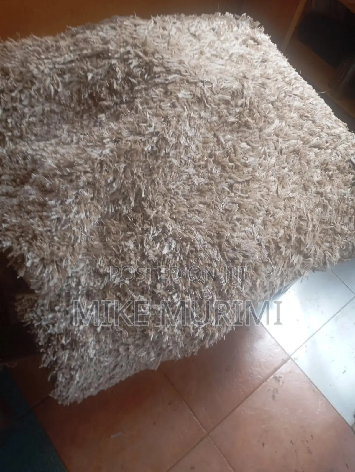 Slightly Used Carpet