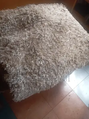 Slightly Used Carpet