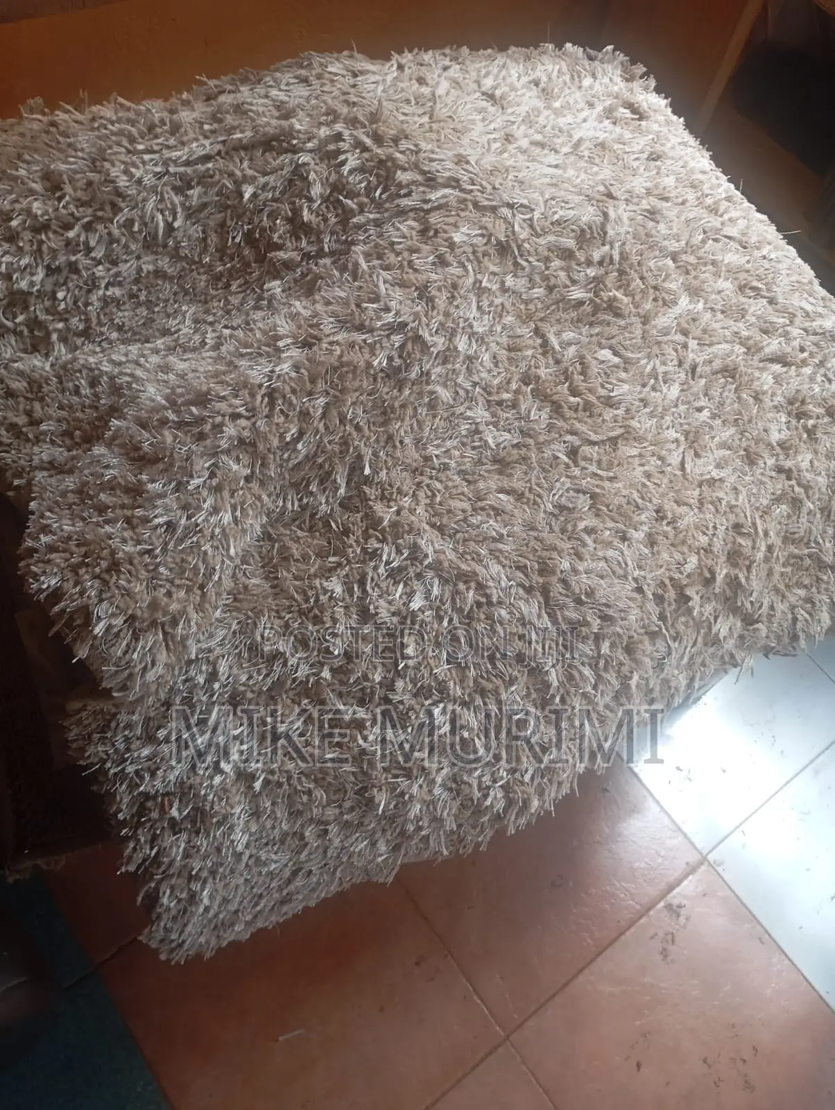 Slightly Used Carpet