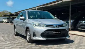 Toyota Axio 2019 Silver