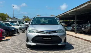 Toyota Axio 2019 Silver