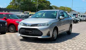Toyota Axio 2019 Silver