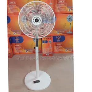 Urk Standing Fan With Remote