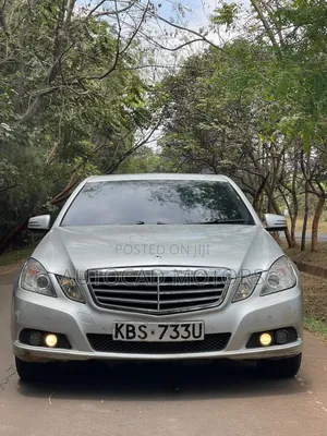 Mercedes-Benz E220 2010 Silver