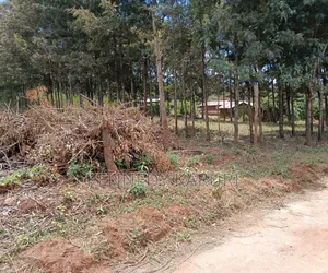50 X 100 in Kikuyu Lusigetti