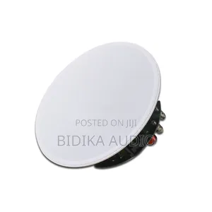Ceiling Speakers With Online Music Radio Airplay Crossover
