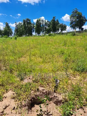 Plots for Sale in Makuyu, Mananja – KSh 480K Cash | Ready Title Deed
