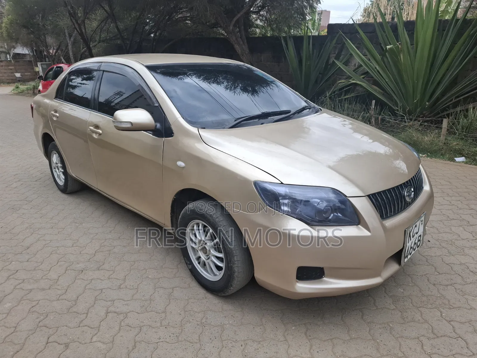 Toyota Axio 2009 Gold