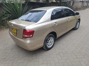 Toyota Axio 2009 Gold