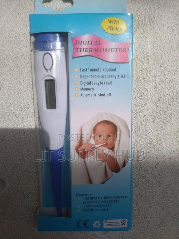 Digital Thermometer - main view