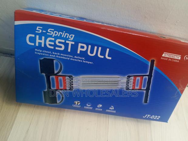 Heavy Duty 5 Spring Chest Pull - main view