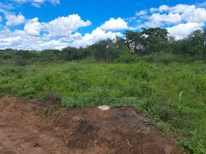 50×100 Plots for Sale in Matuu./ 199k Only