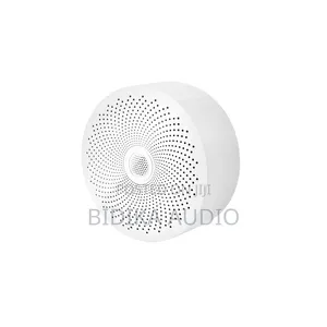 Ceiling Installation Speaker Bluetooths
