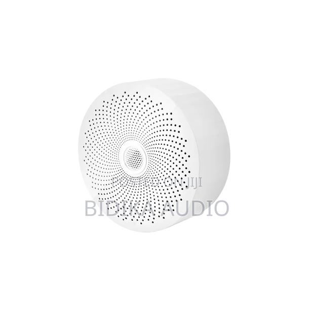Ceiling Installation Speaker Bluetooths - main view