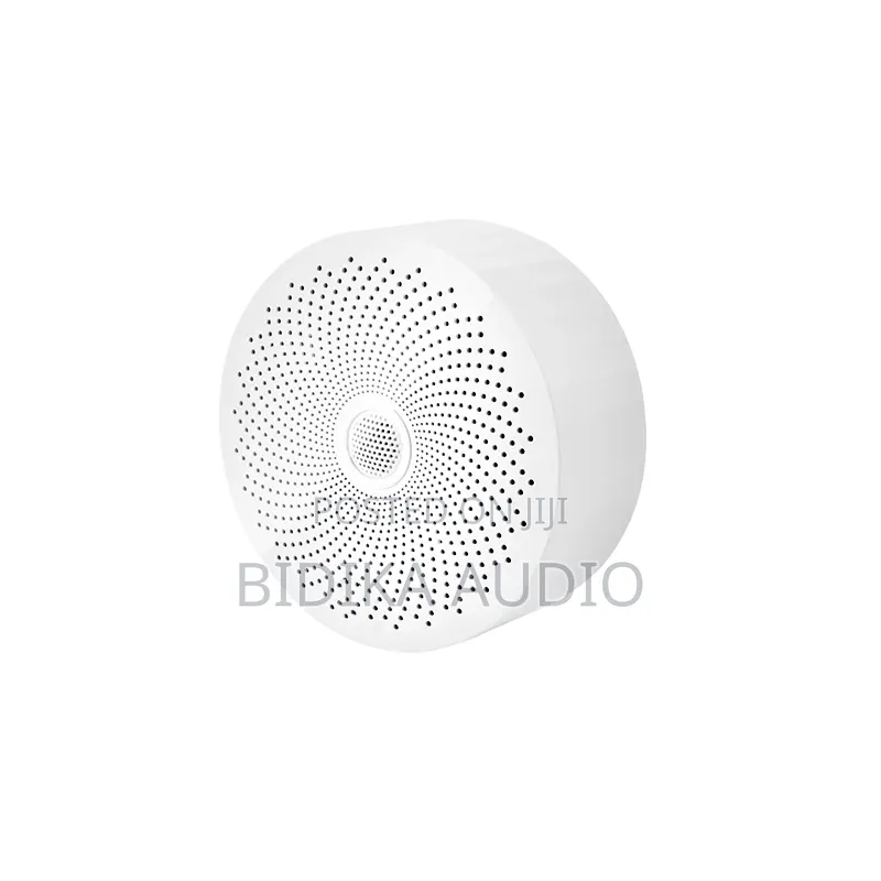 Ceiling Installation Speaker Bluetooths