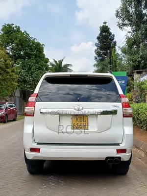 Toyota Land Cruiser Prado 2017 Pearl