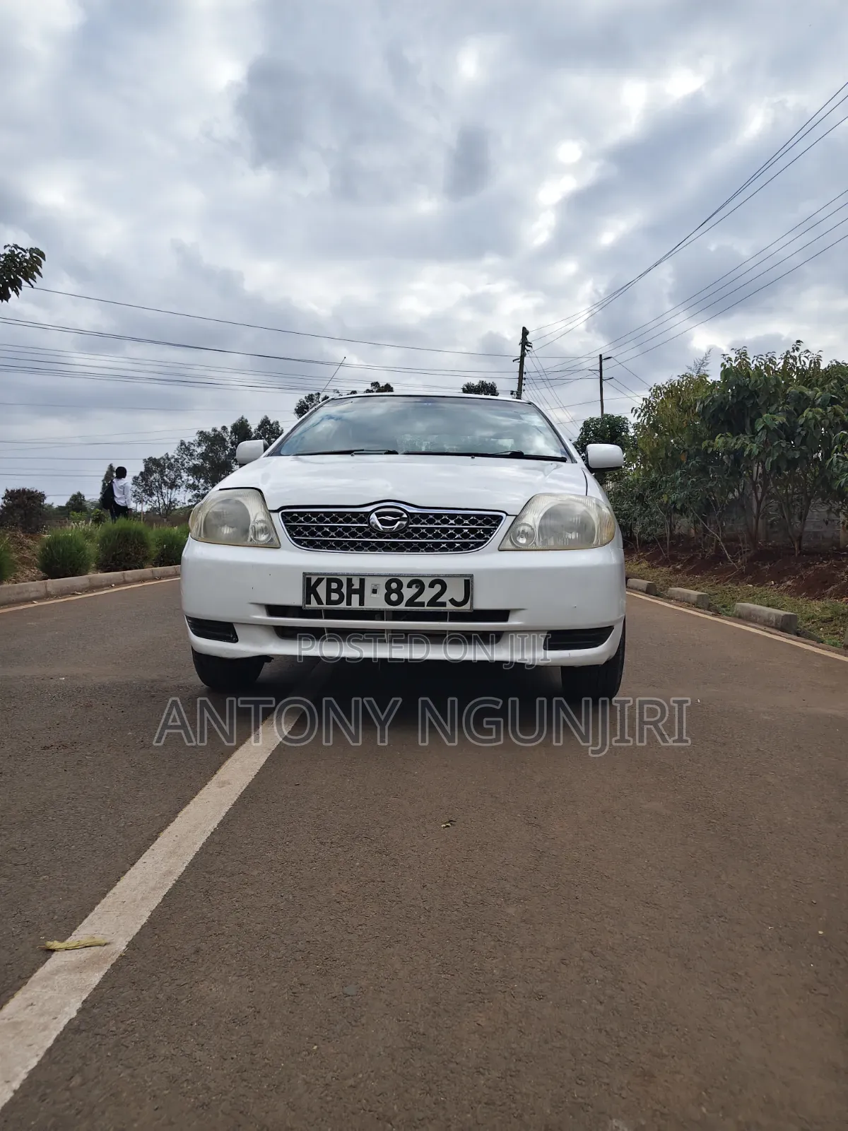 Toyota Corolla 2007 White