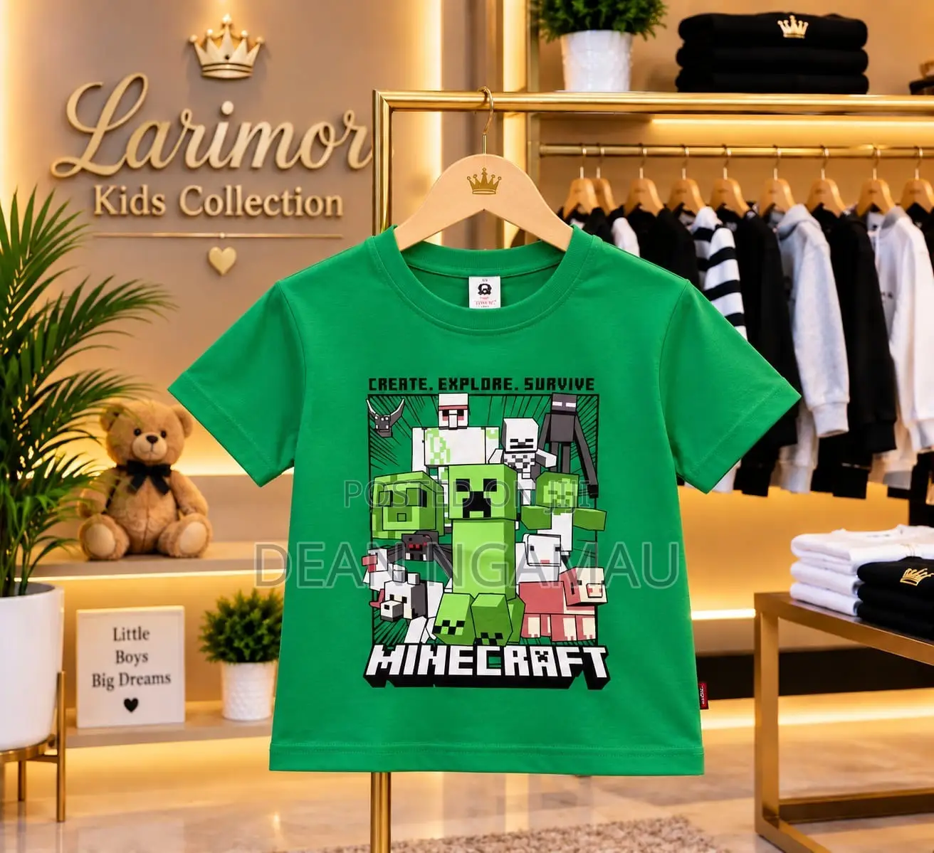 Boys T-Shirts and Shirts