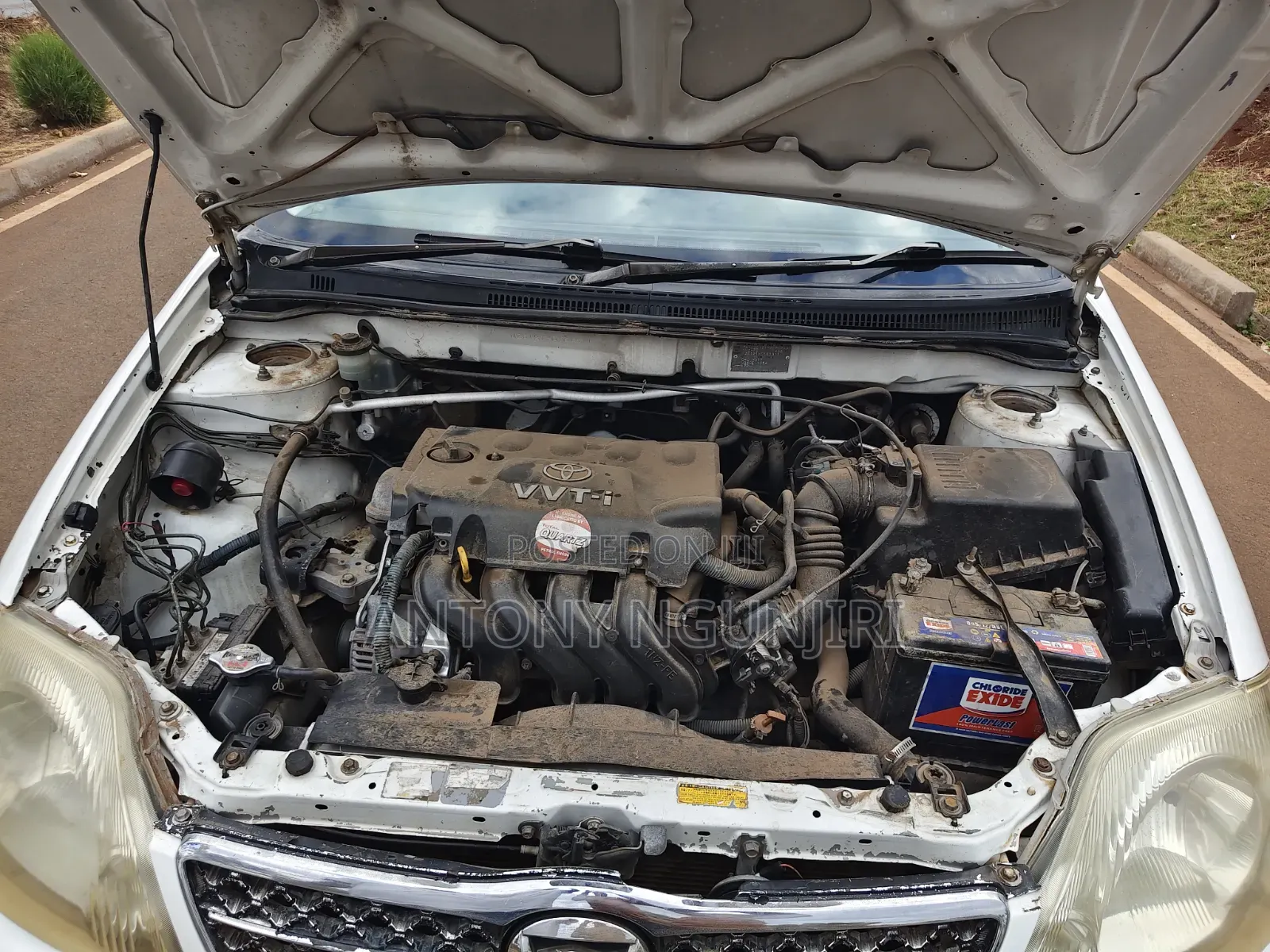 Toyota Corolla 2007 White