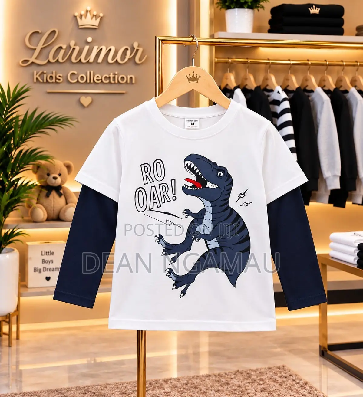 Boys T-Shirts and Shirts